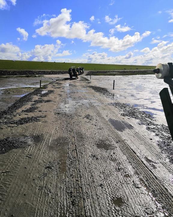 Hallig Südfall